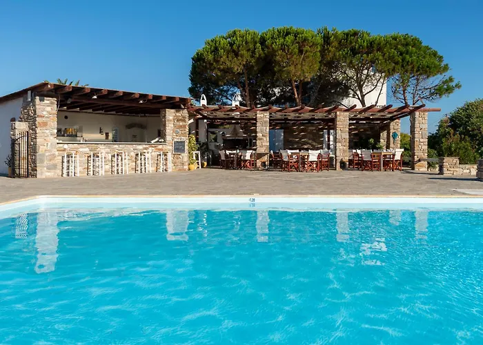 Hotel que admite mascotas: Hotel Swiss Home